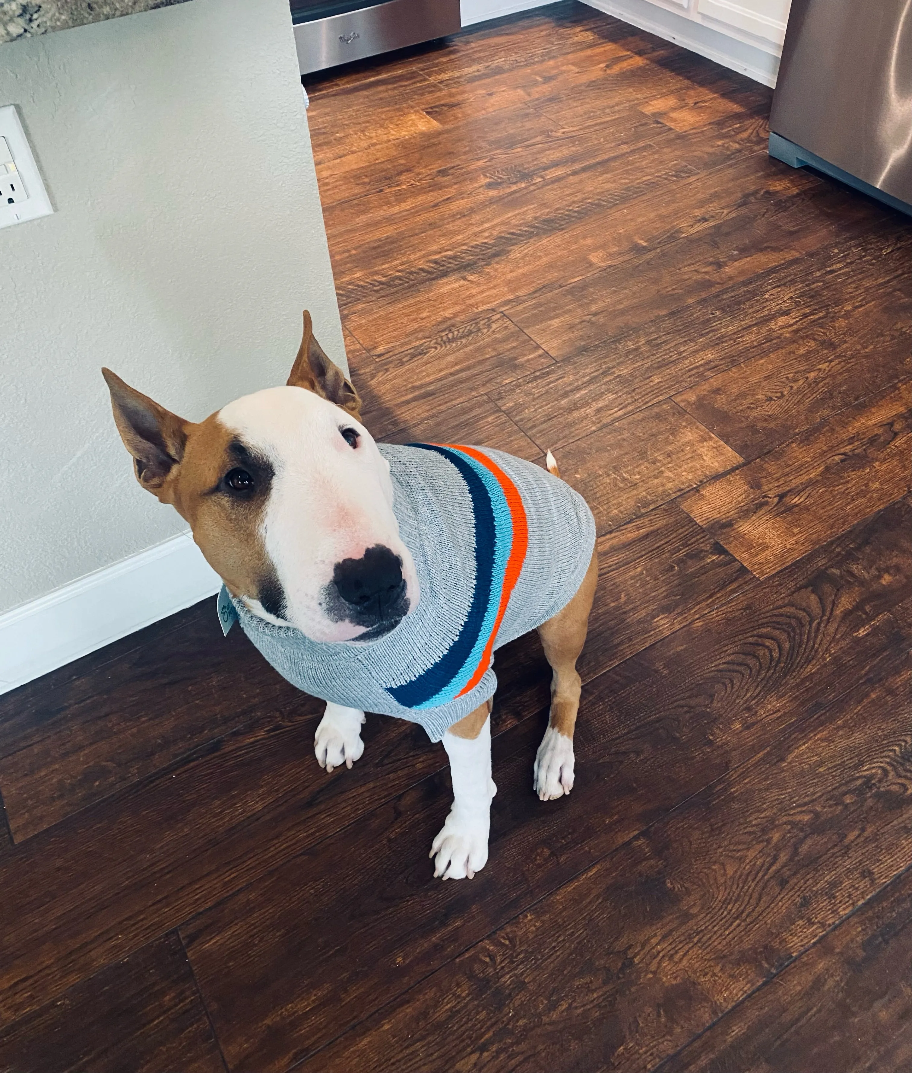 Alpine Turtleneck Sweater
