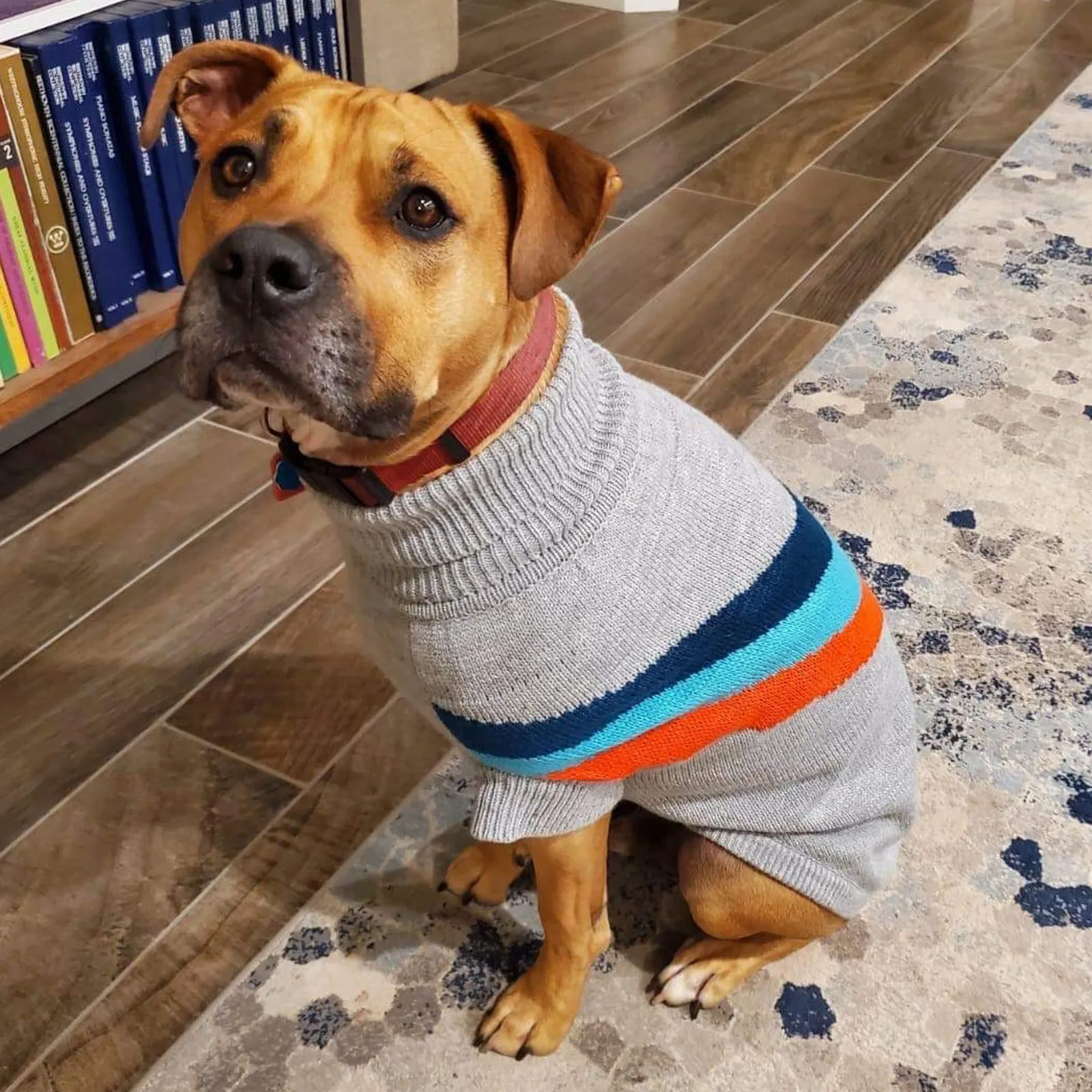 Alpine Turtleneck Sweater