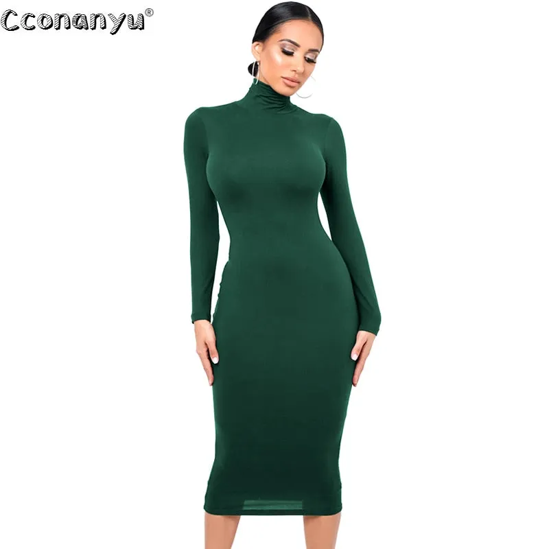 Black Turtleneck  Boydcon Dress