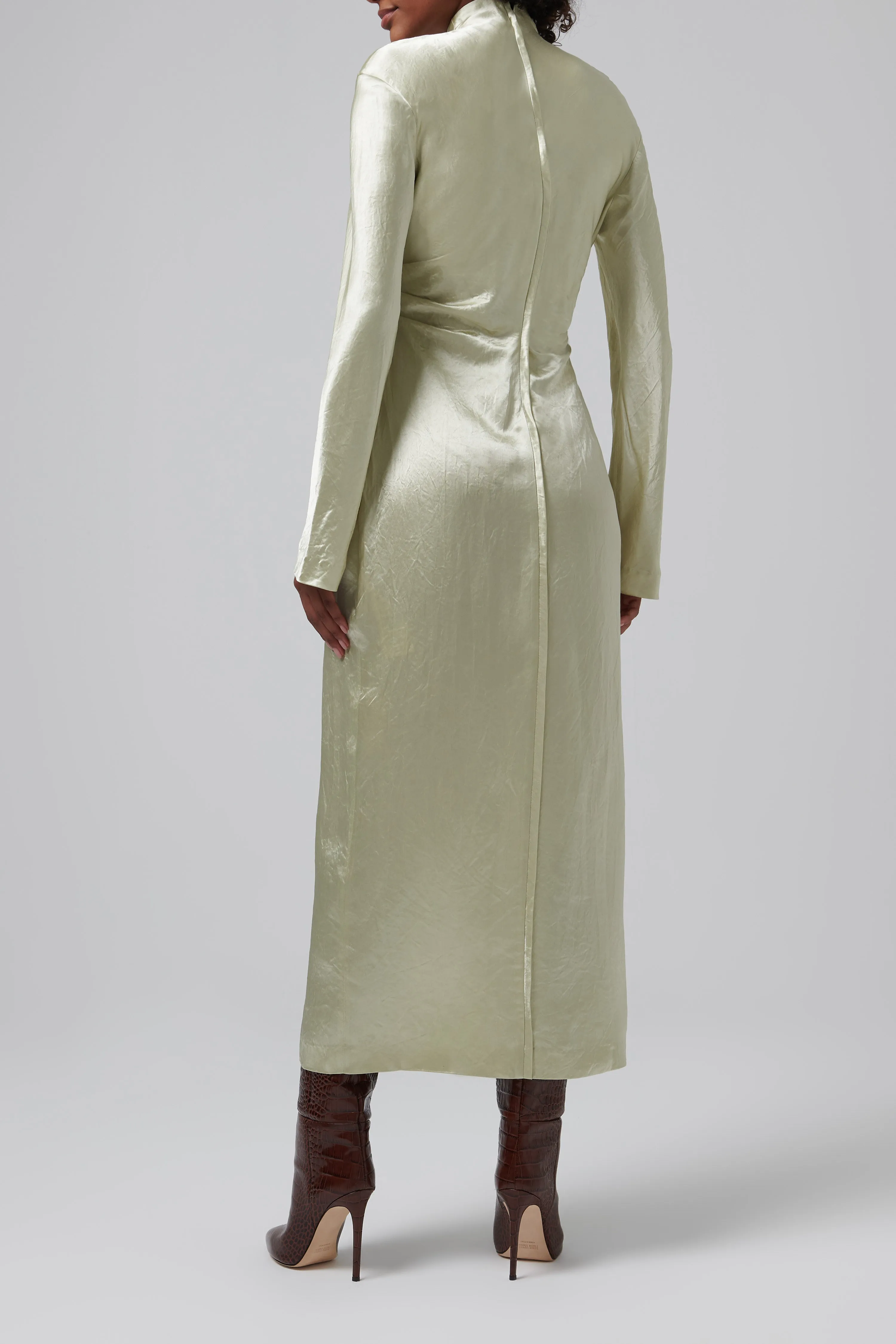Cosett Turtleneck Maxi Dress
