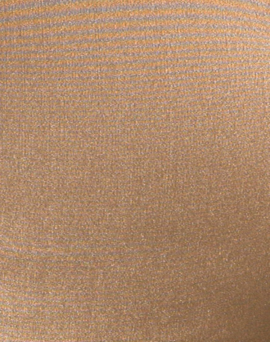 Rhala Crop Top in Nylon Gold